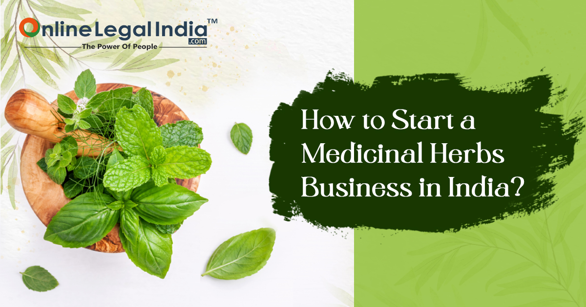 medicinal plants business plan