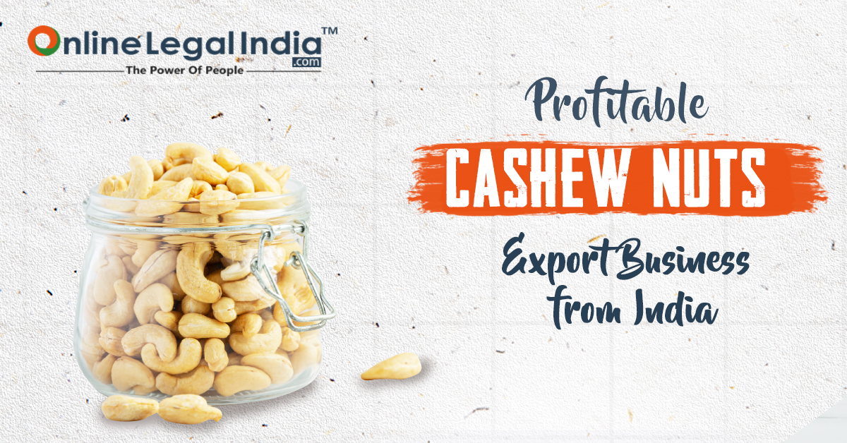 business plan on cashew nut export