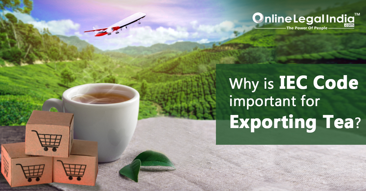 tea export business plan
